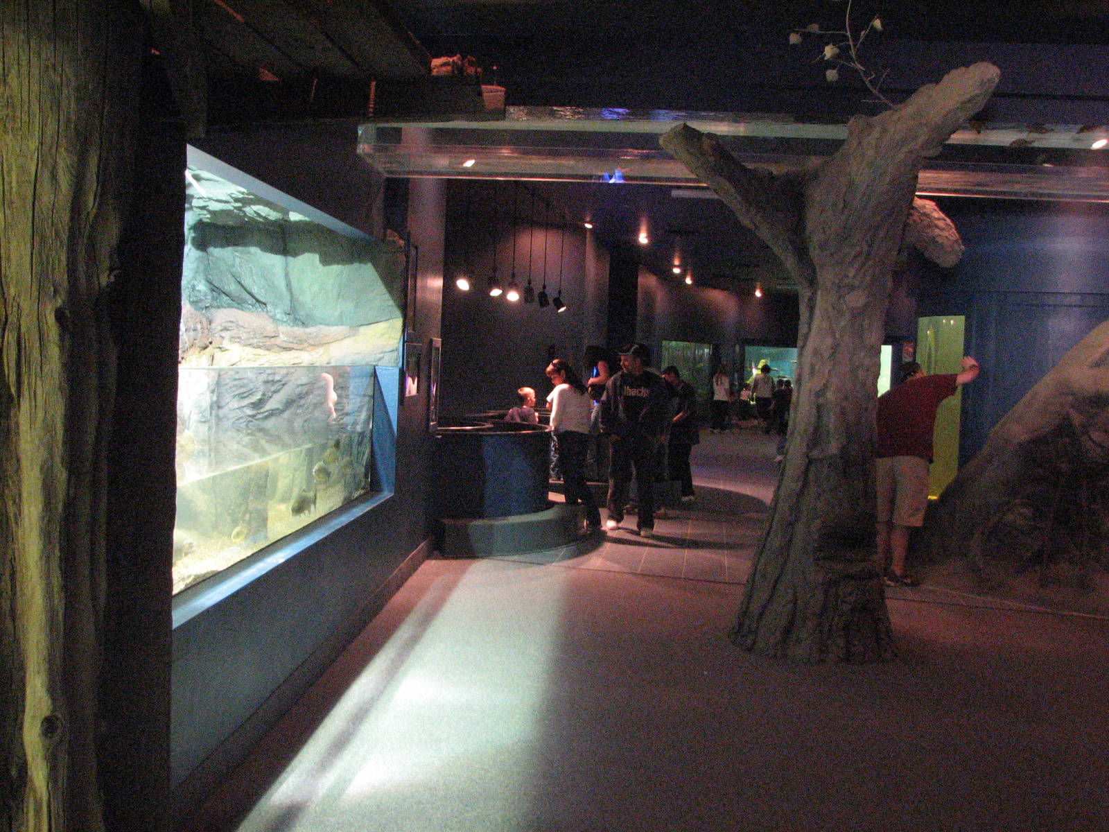 Diversity of Life in Water Building