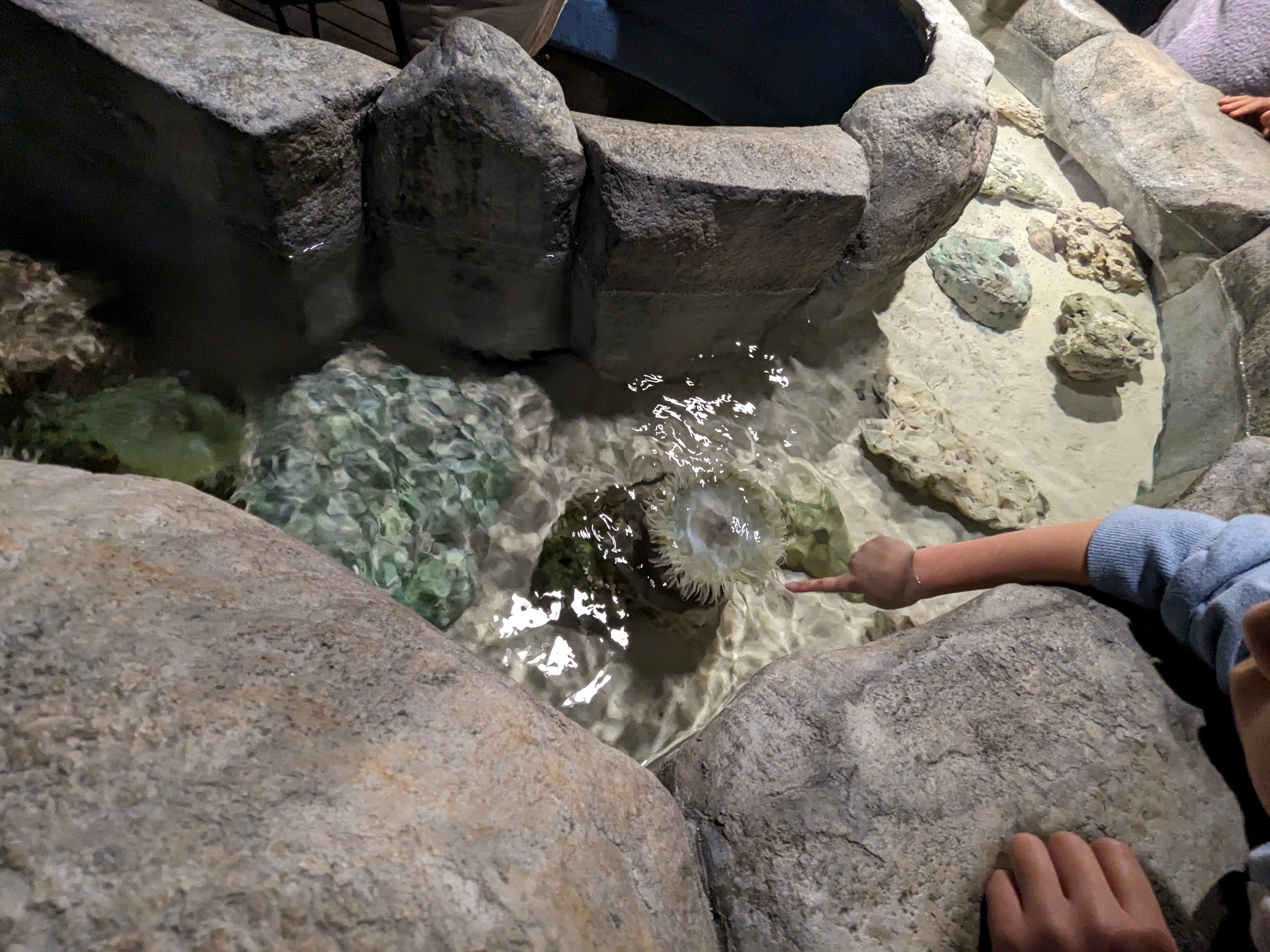 Diversity of life in water Building