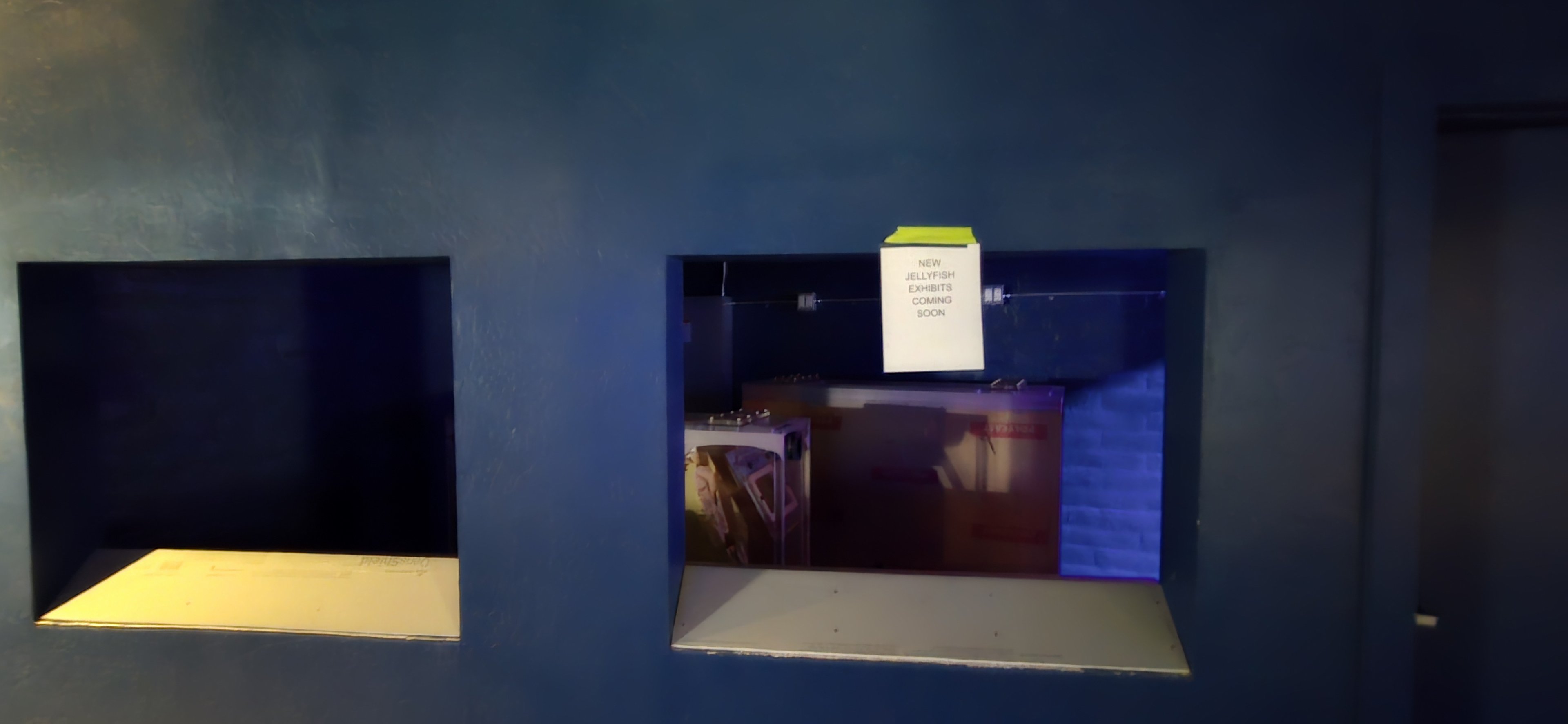 Diversity of Life in Water - new jelly tank coming soon