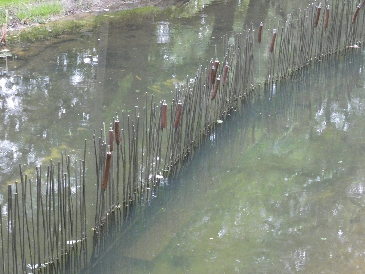 Dividing barrier in pond