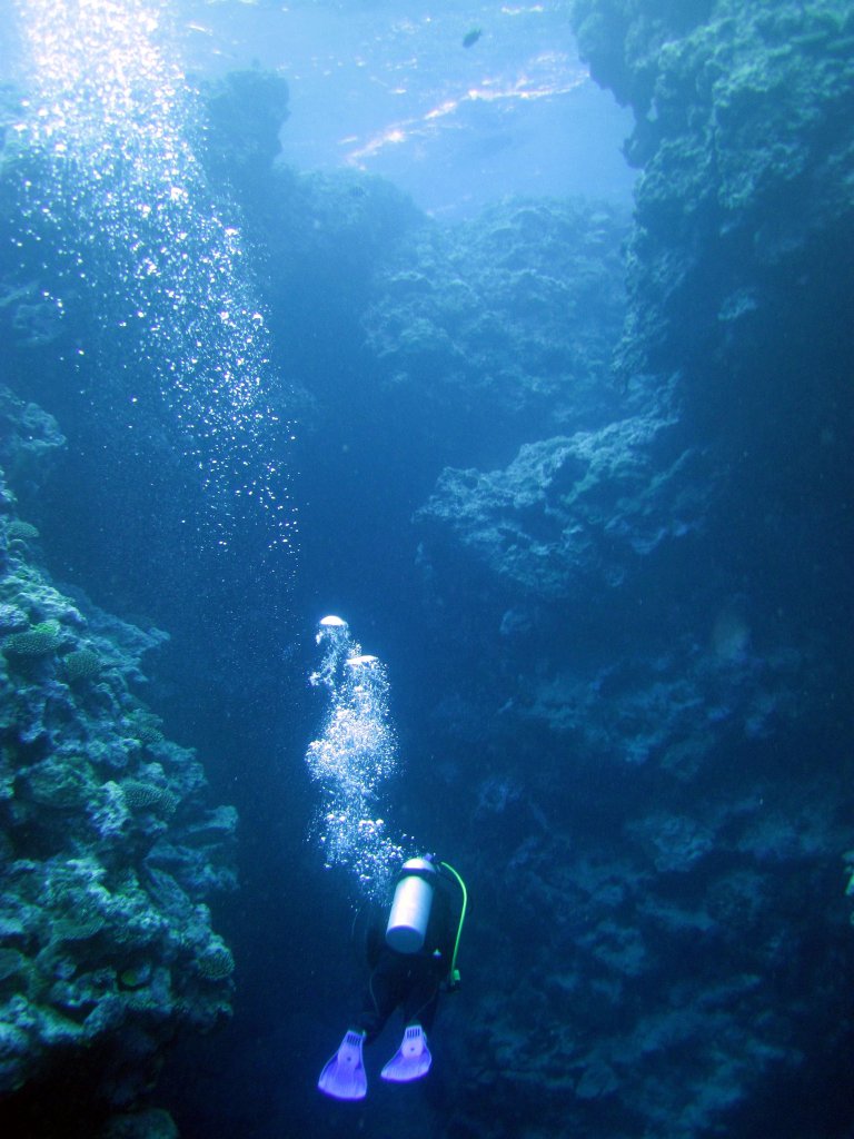 Diving at Snake Gully