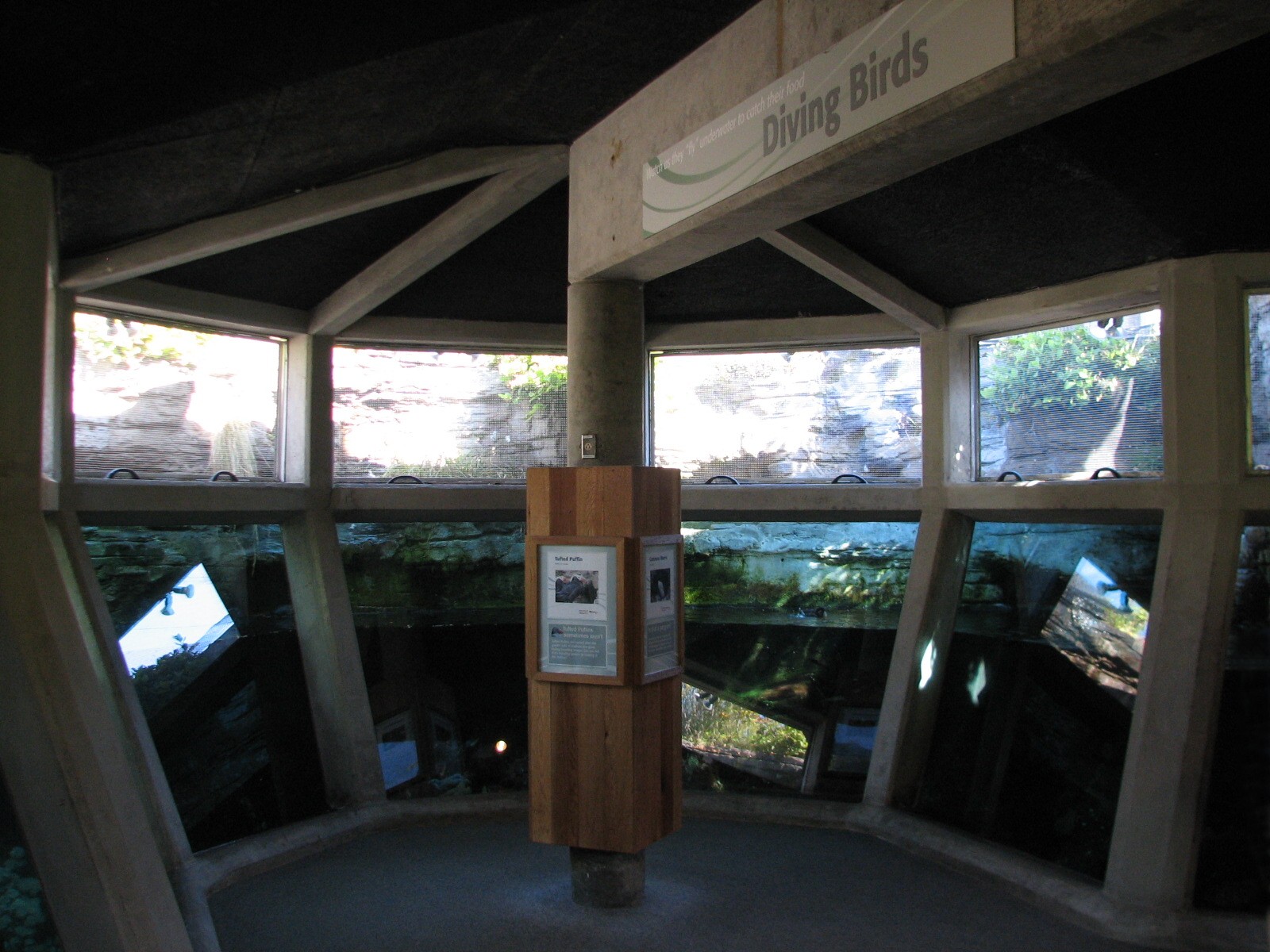 Diving Birds Exhibit