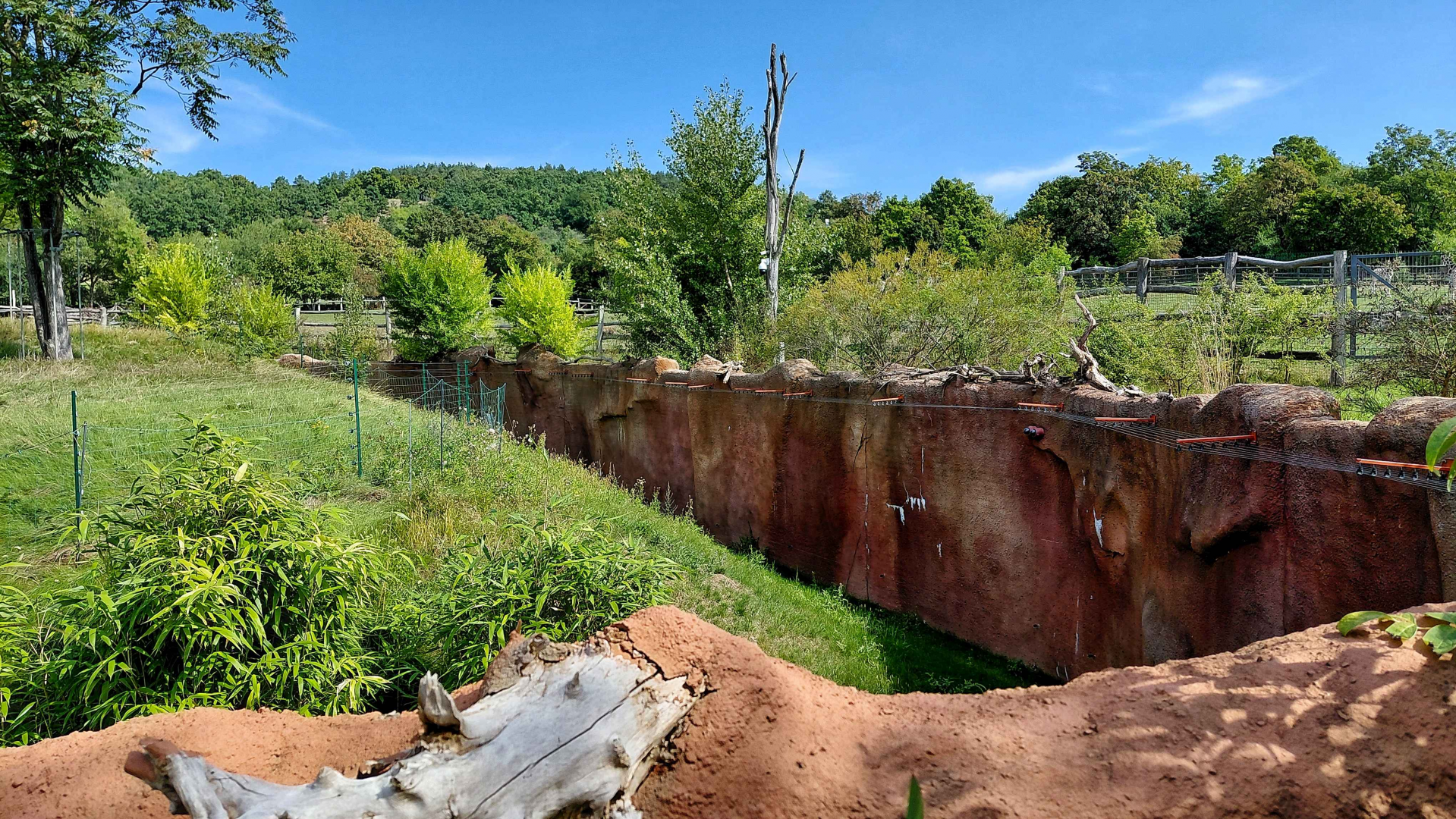 Dja - gorilla exhibit protection