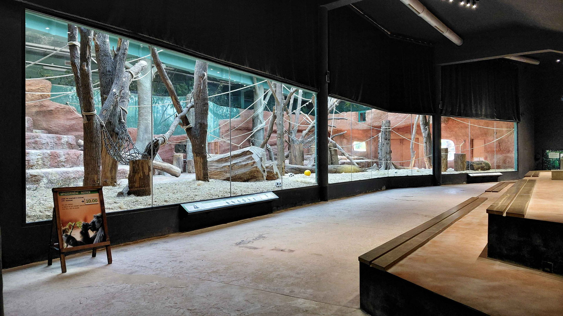 Dja - gorilla indoor exhibit