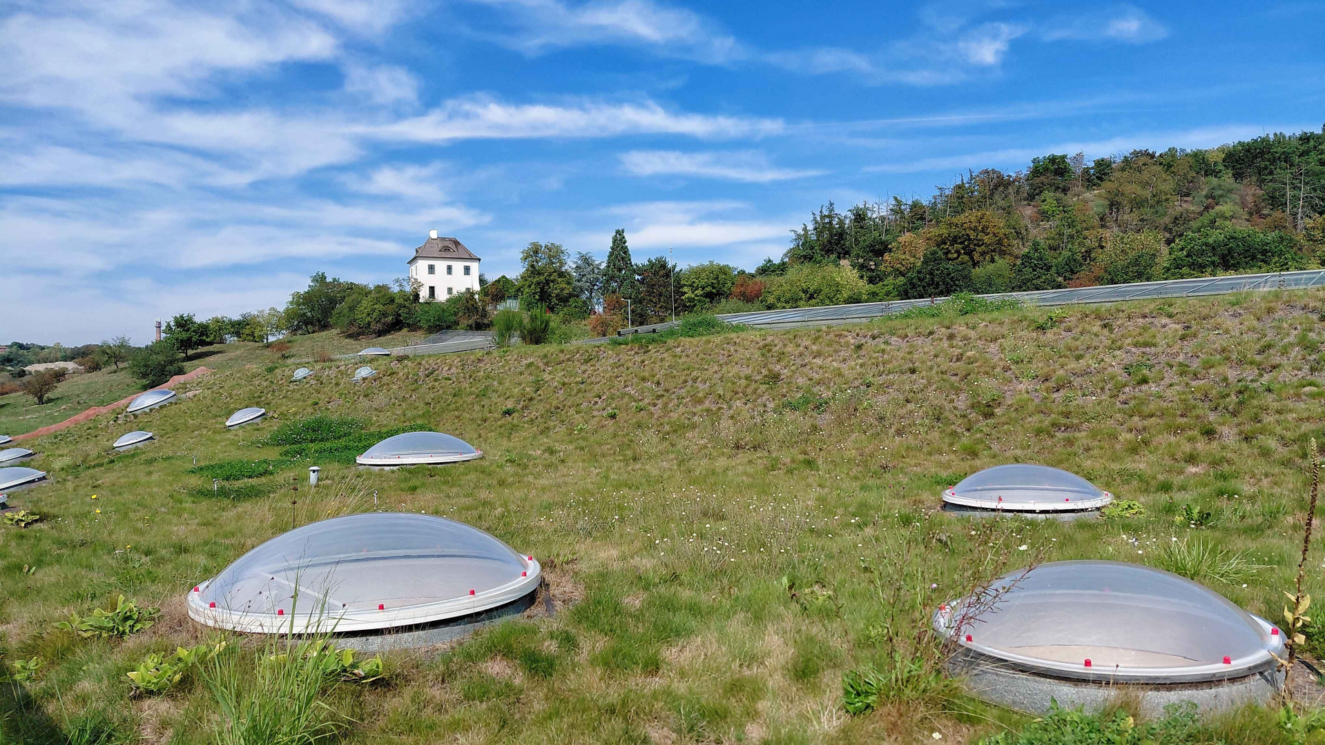 Dja - roof of the pavilion