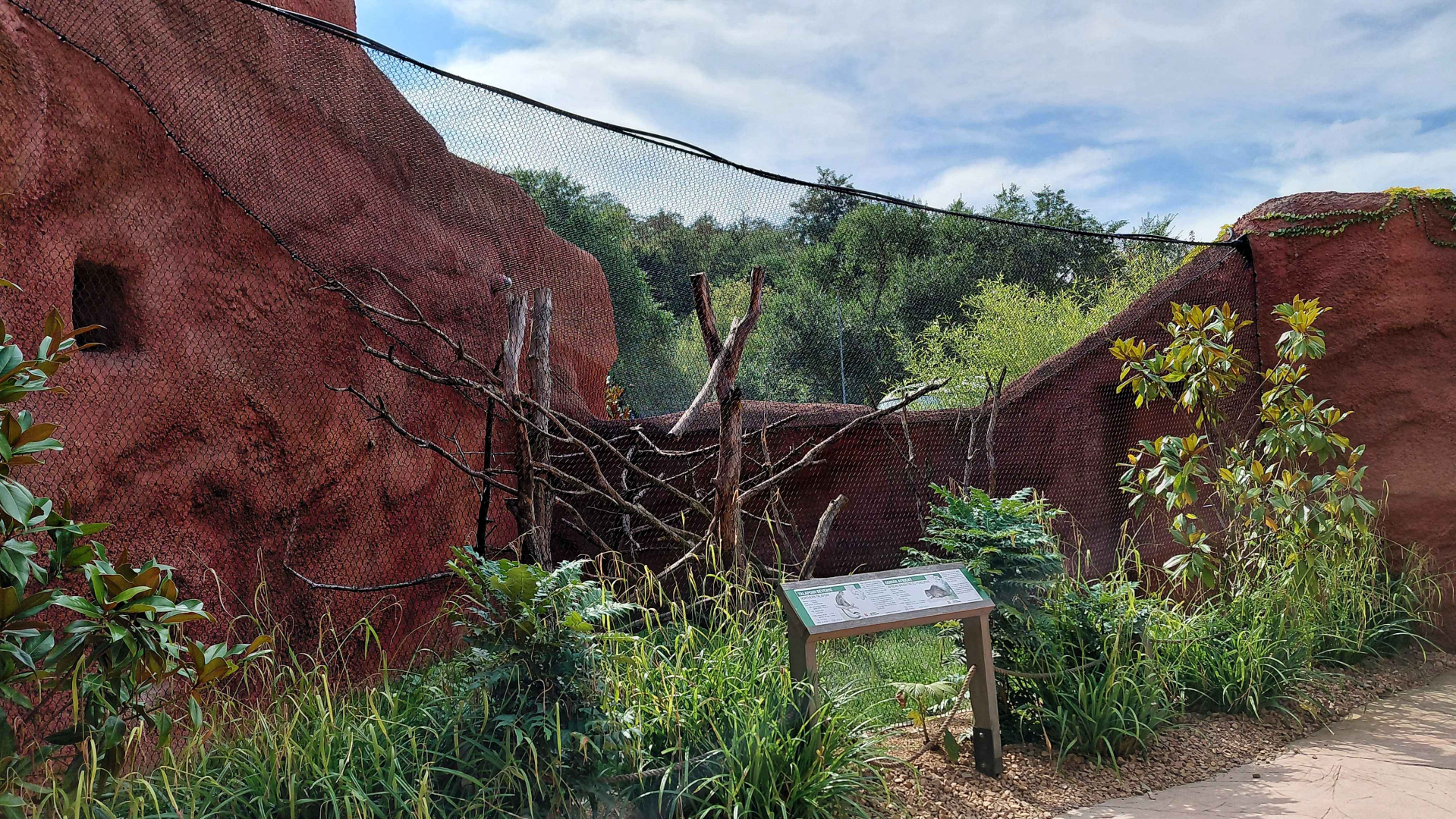 Dja - Talapoin + porcupine outdoor exhibit