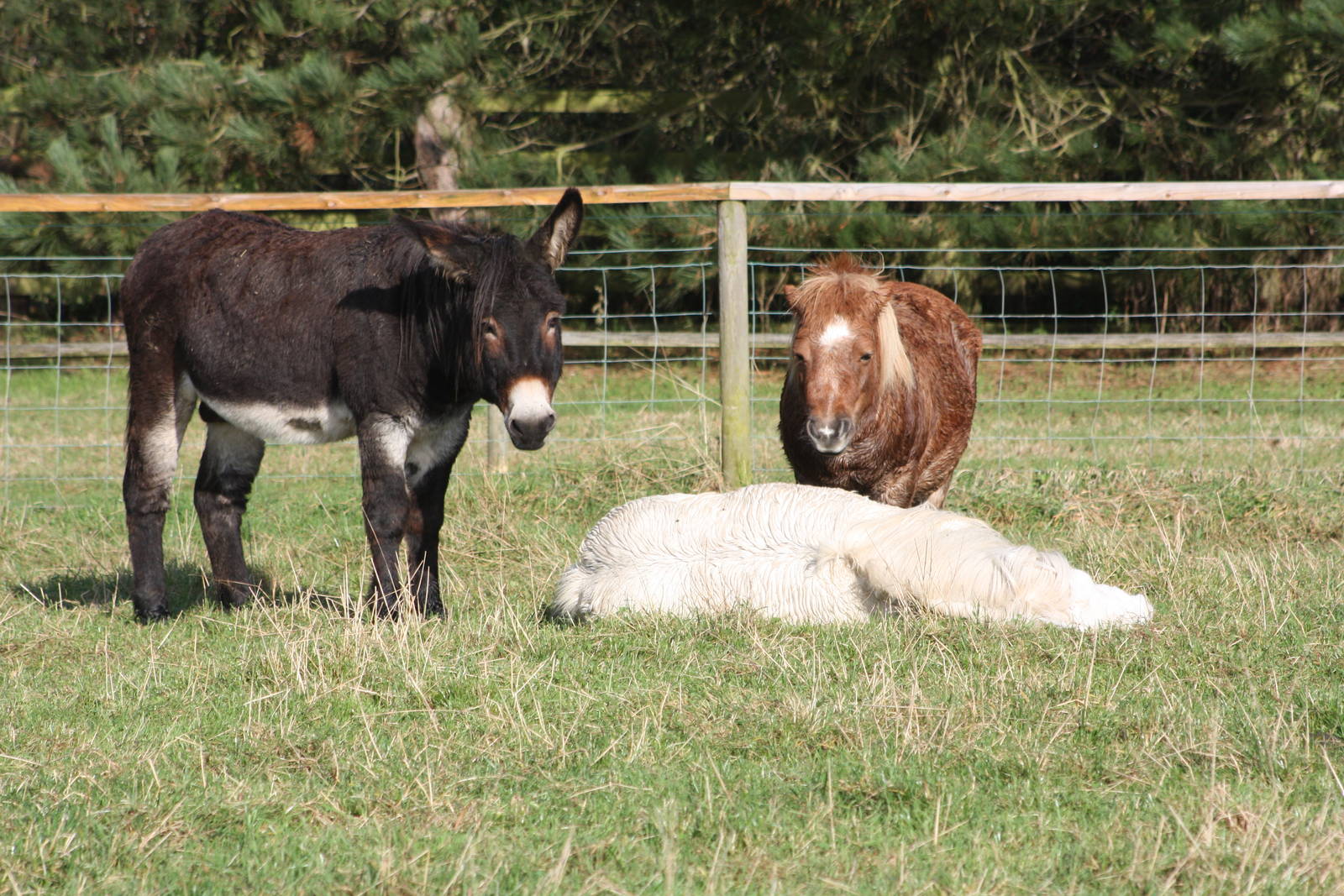 Do not be alarmed, 16th October 2014