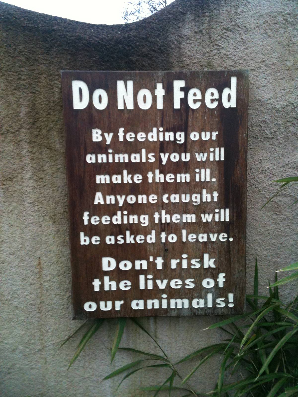 "Do Not Feed" Sign - 16/02/2011