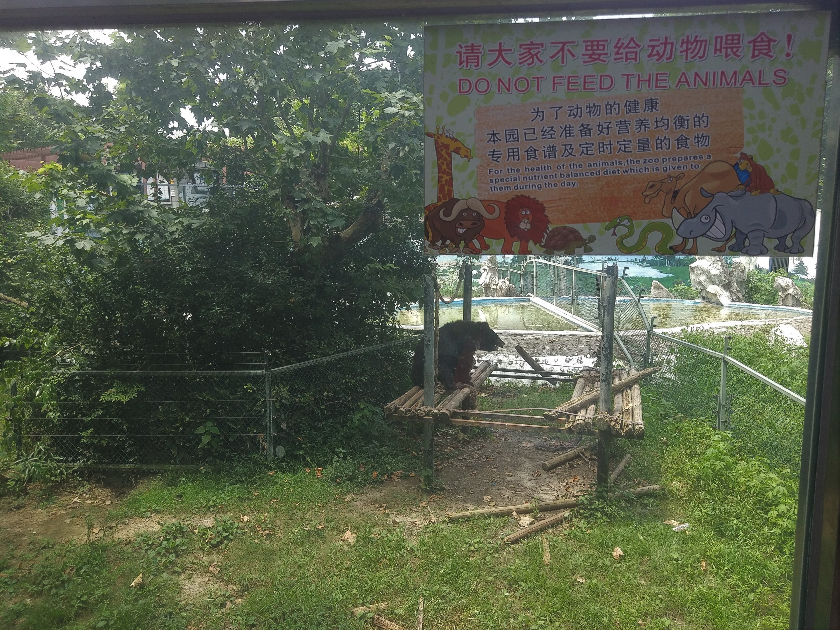 'Do Not Feed The Animals' Signage