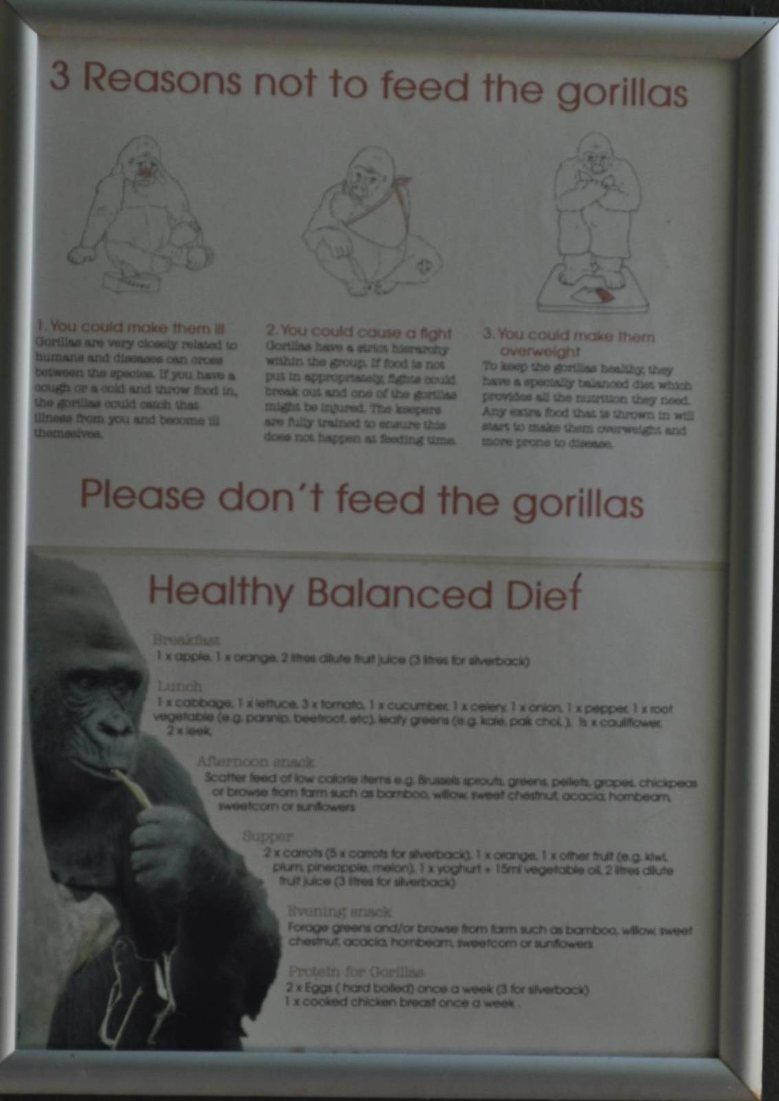 Do Not Feed the Gorillas