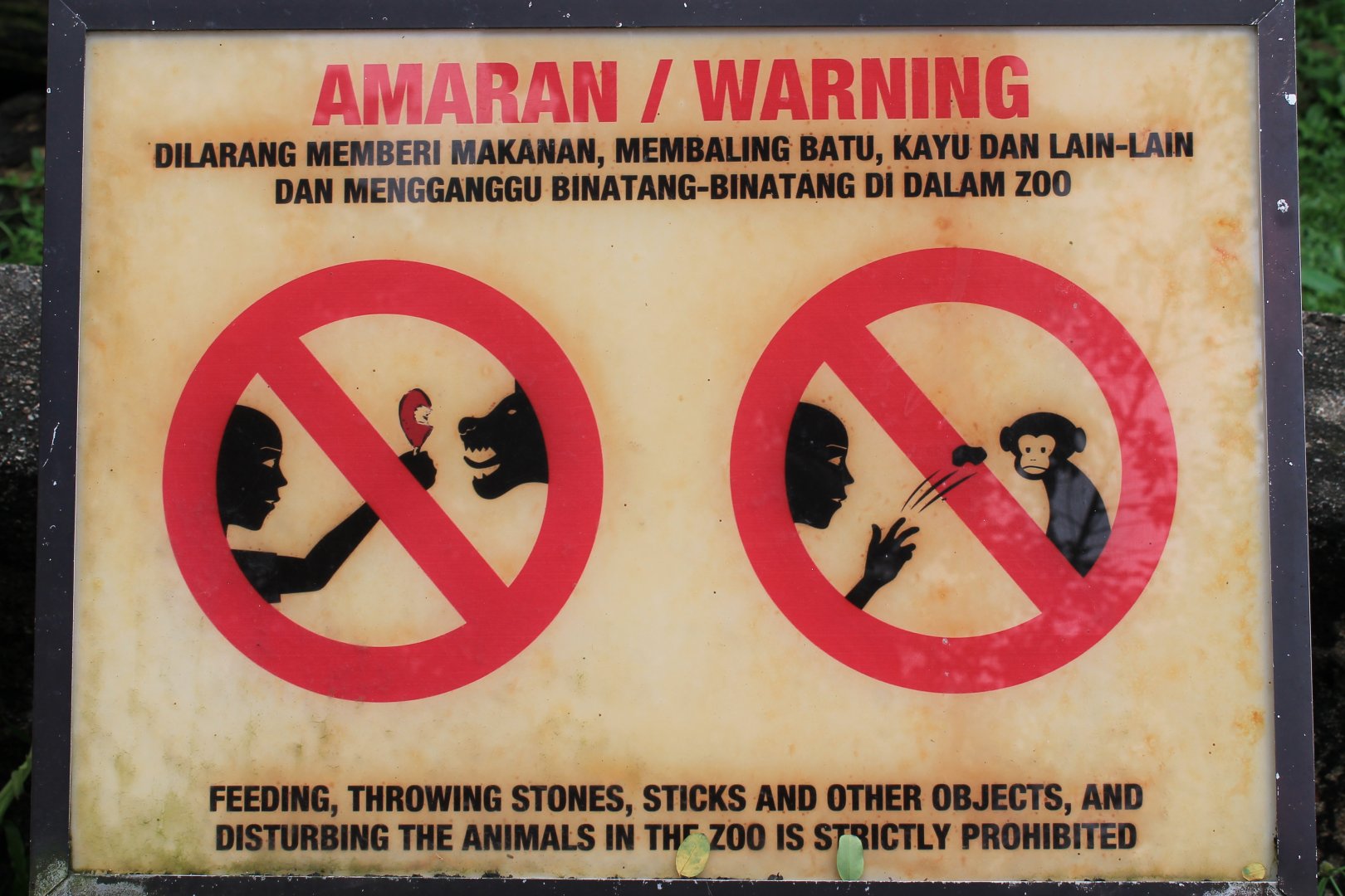 Do not feed your roast chicken to the hyaenas!!