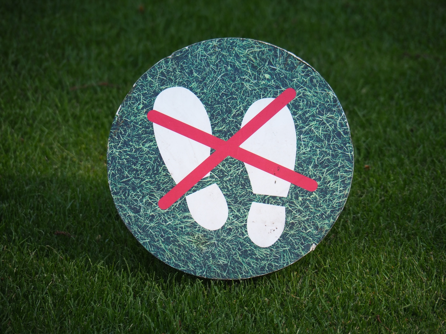 Do not walk on the lawn sign, 2019-04-20
