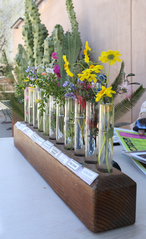 docent wildflower display
