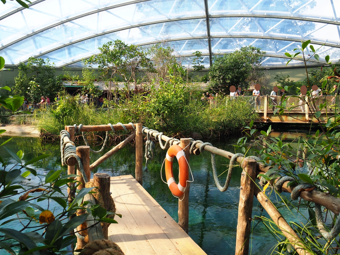Dock and bridge over the manatee pool (Sep 16th, 2018)