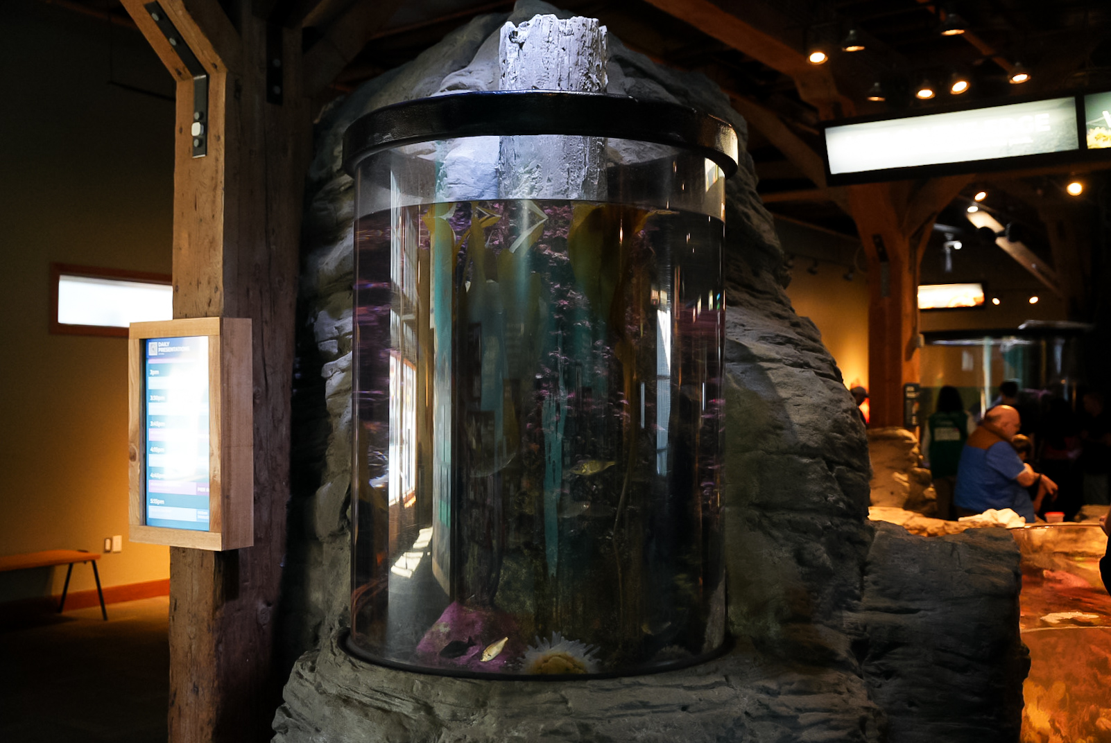 'Dock Piling' Tank (Pier 59)