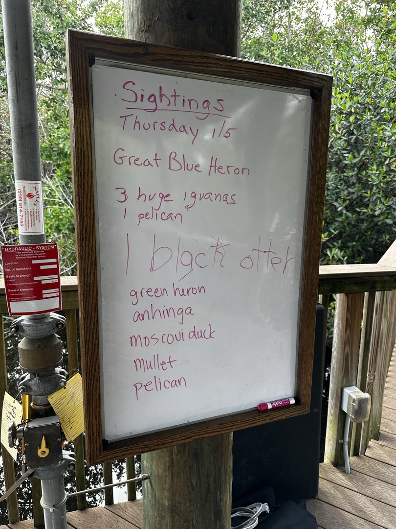 Docks - Latest Sightings