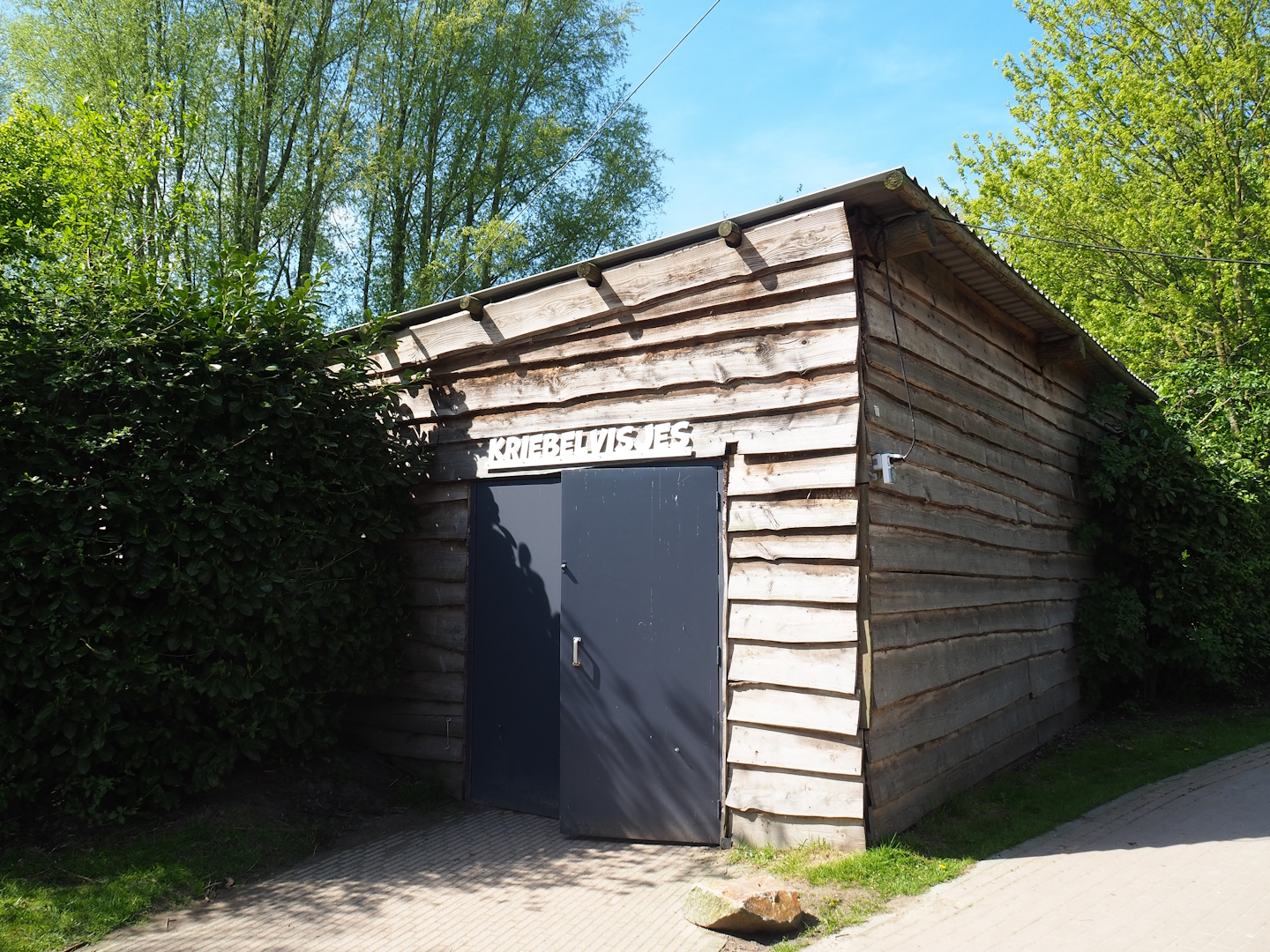 Doctor fish/Garra rufa fish building, 2023-04-30
