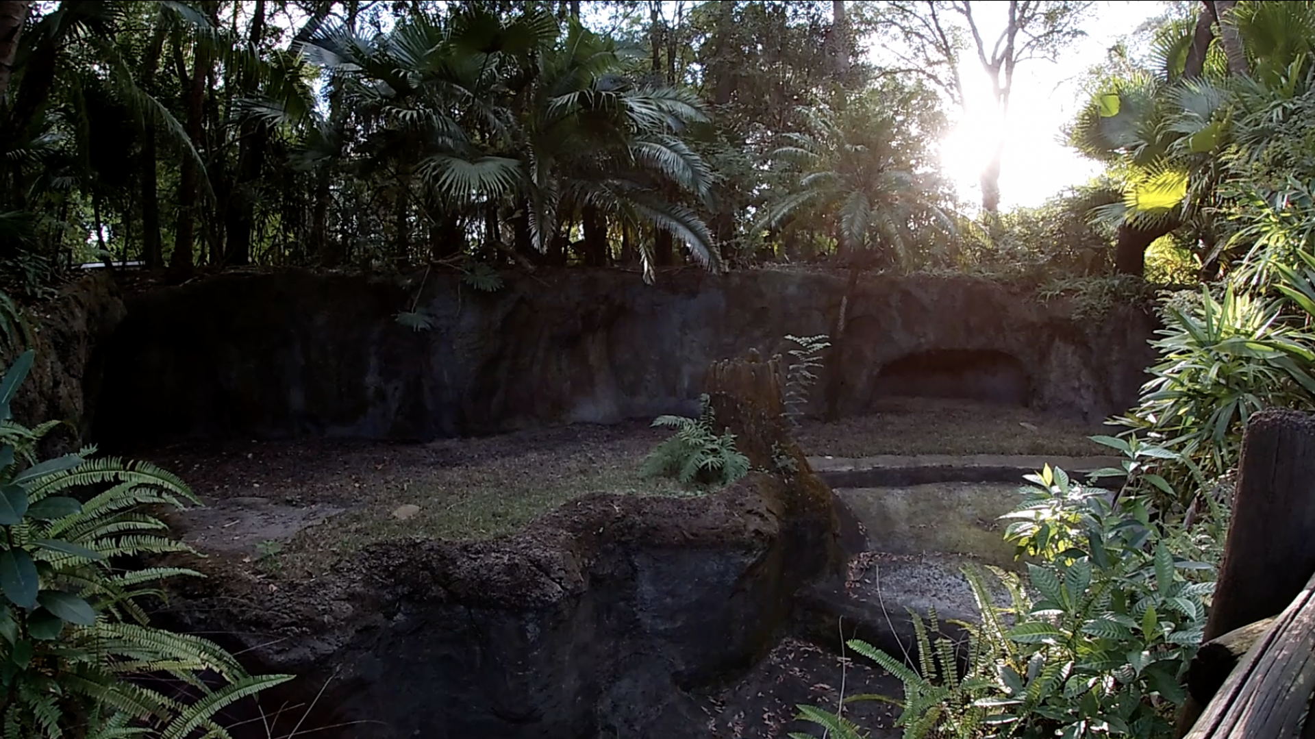 Does anyone know what was once exhibited here? (Disney's Animal Kingdom)