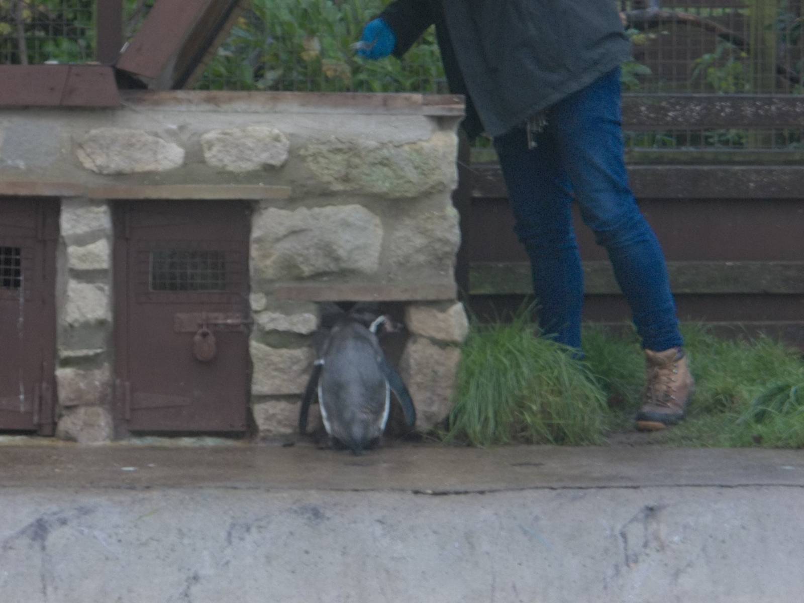 Does Keeper Ed exist? 22nd November 2014