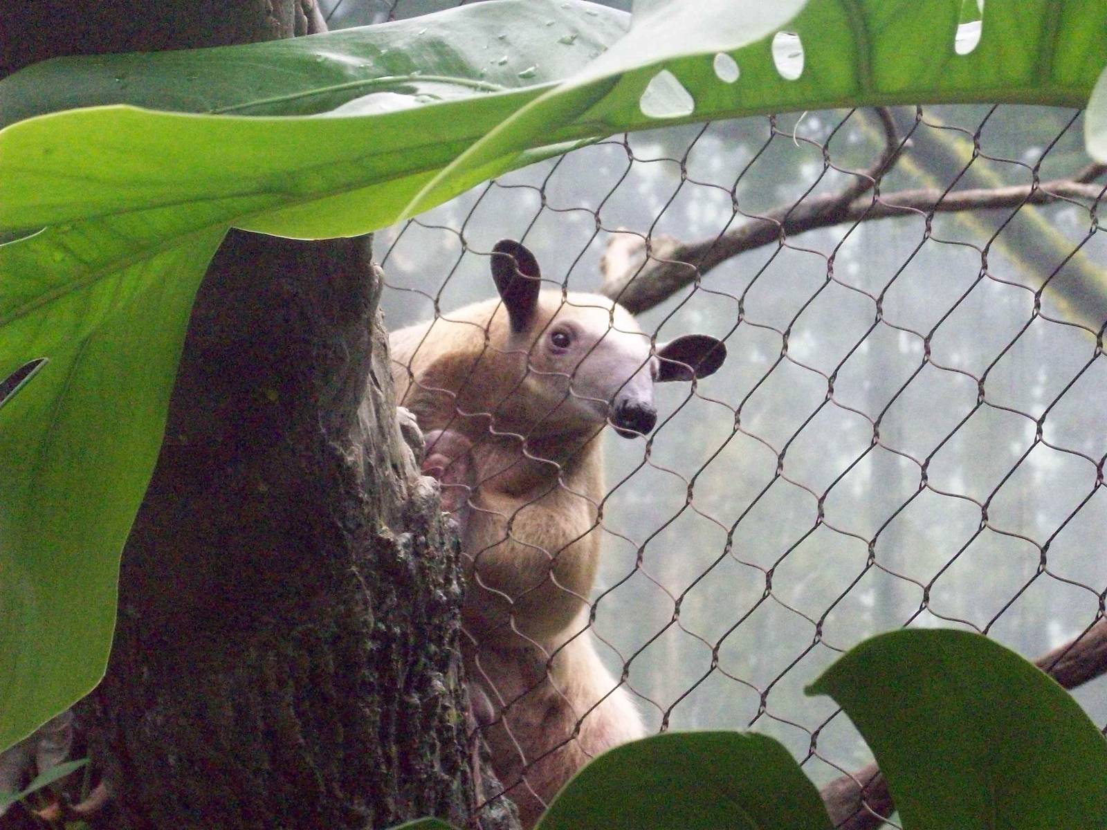 Does this side make me look good?