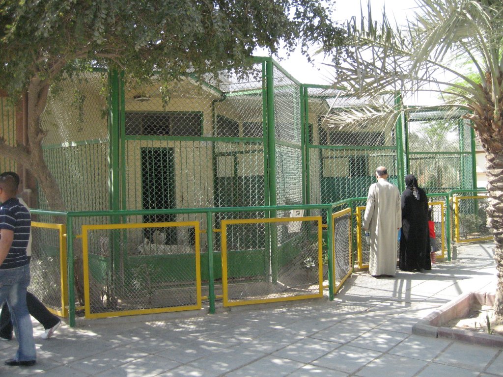 Dog cages