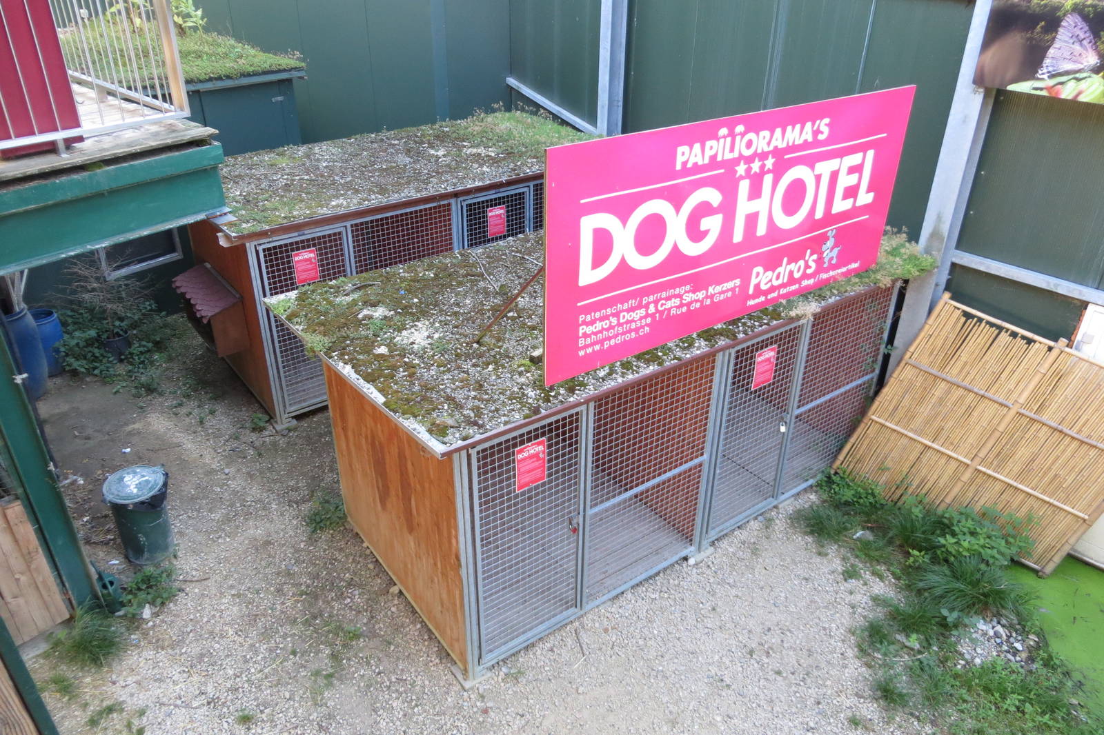 Dog Hotel 130816