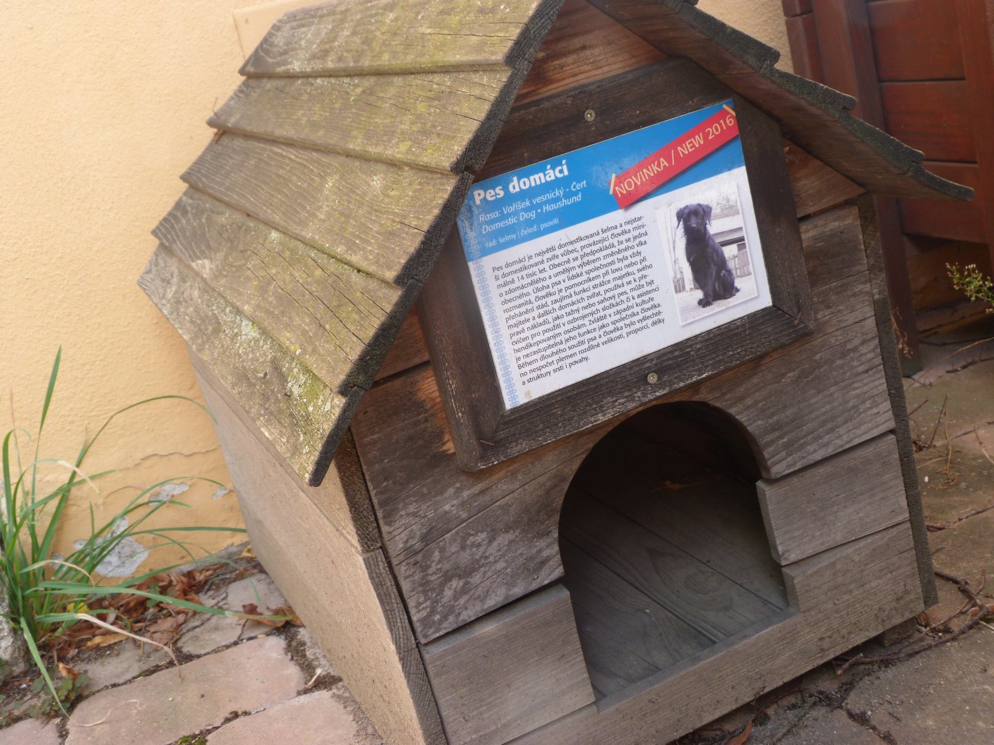 Dog house! -Zoo Plzeň (2025)