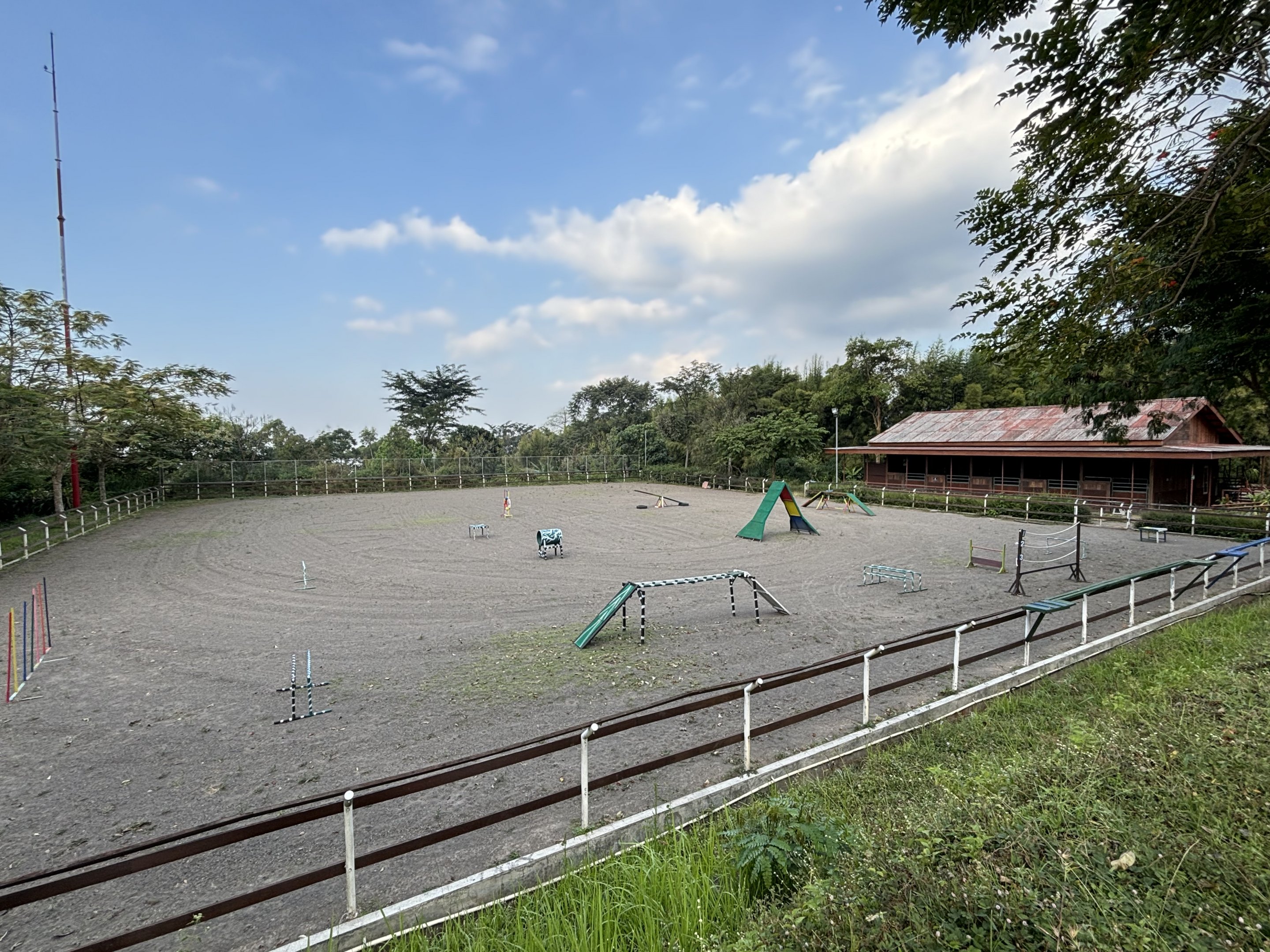 Dog Obstacle Course?