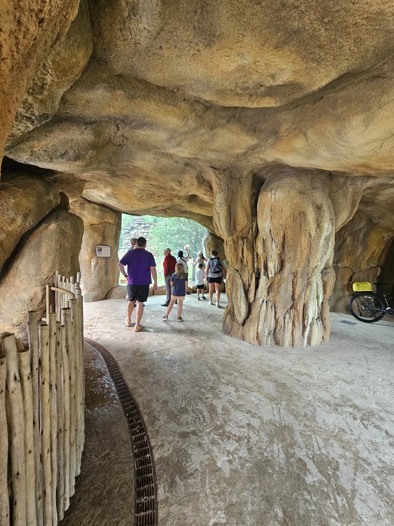 Dog side of the cave