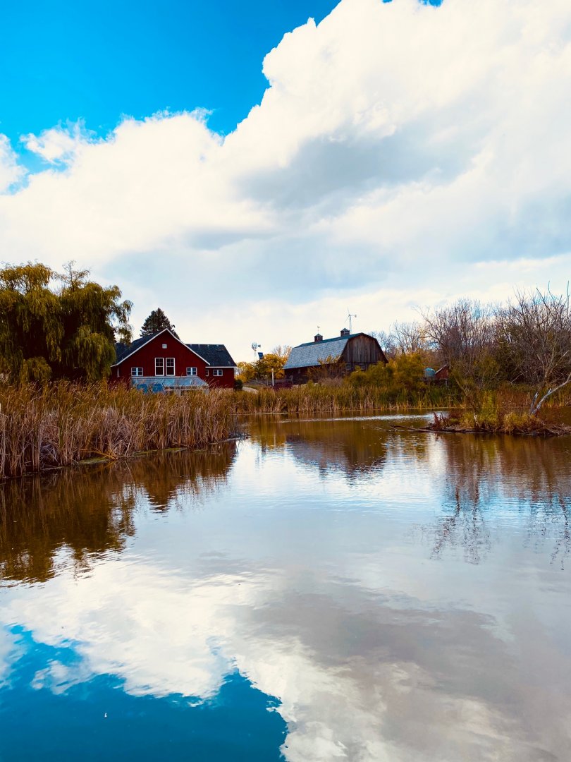 Doge nature center- view of barn from the marsh