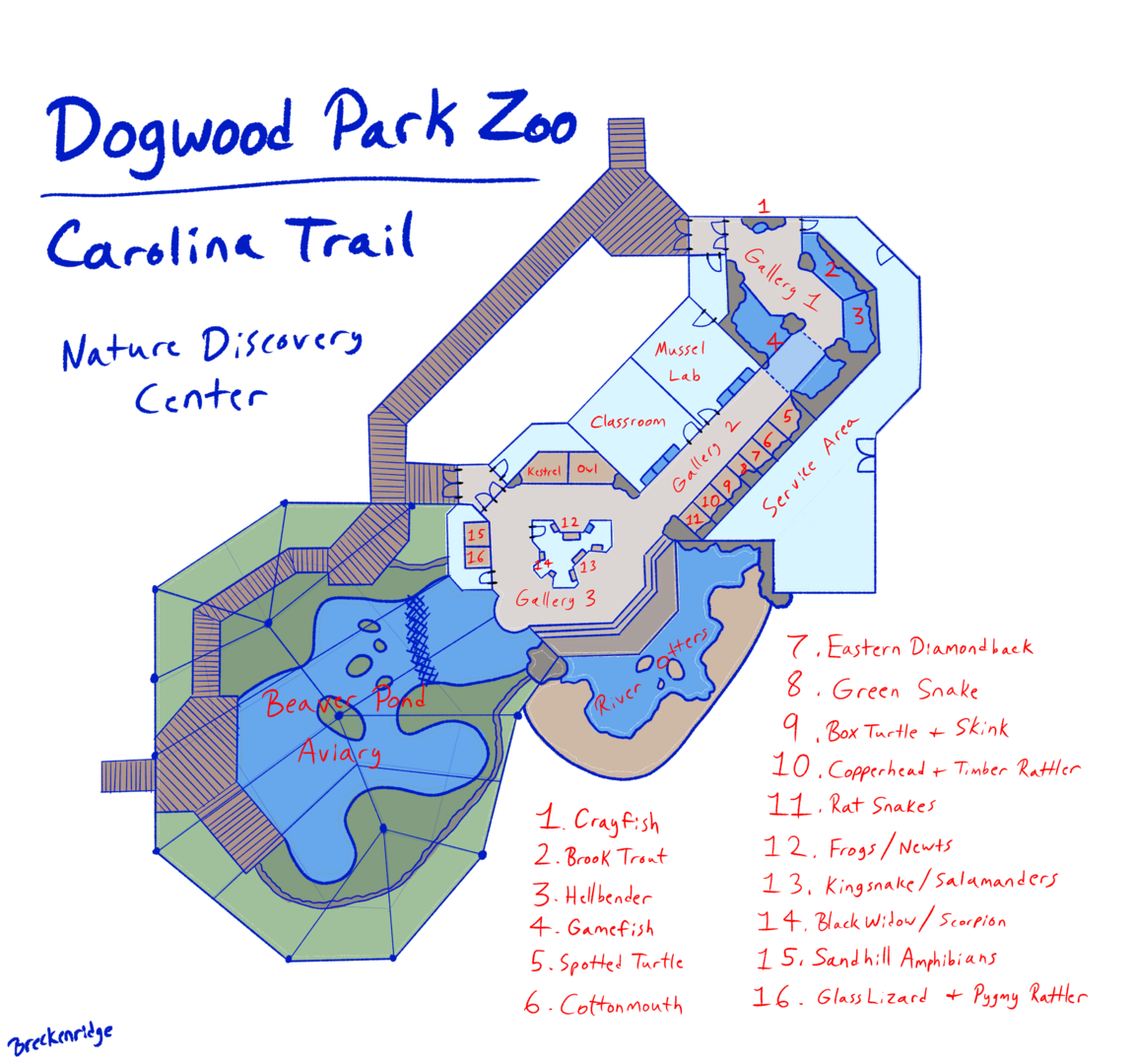 Dogwood Park Zoo: Carolina Trail 'Nature Discovery Center' Concept