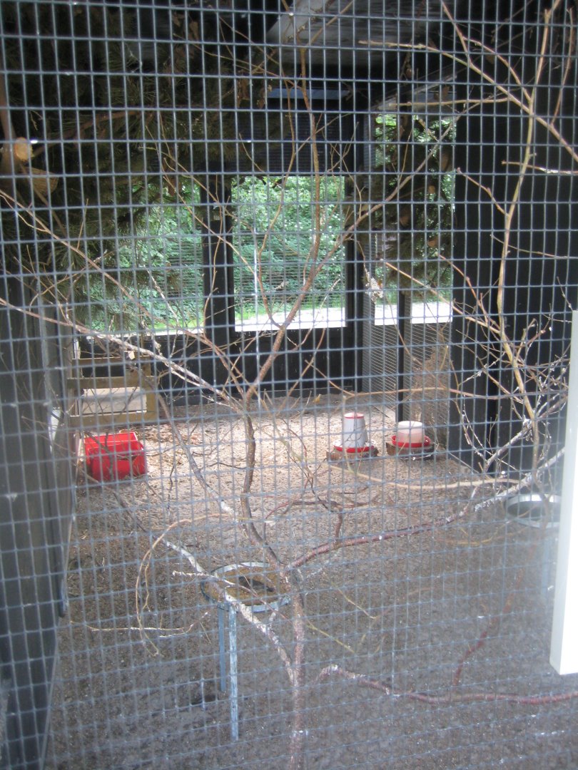 Doktorparken - Finch aviary