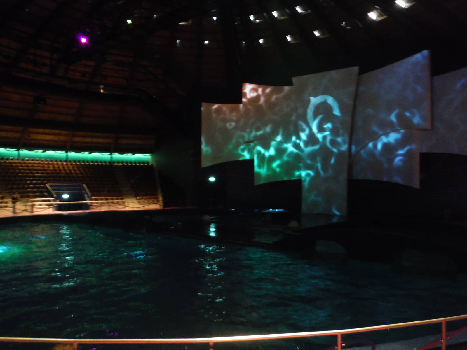 Dolfijndomijn (Dolphin Stadium)