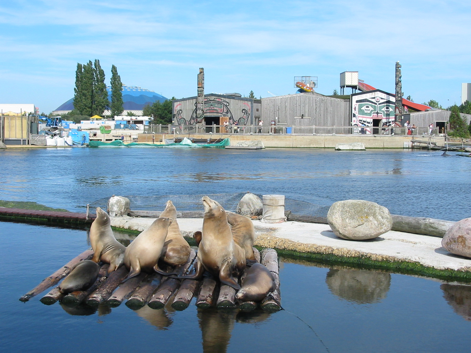 Dolfinarium Harderwijk 2004 - California Sea Lions