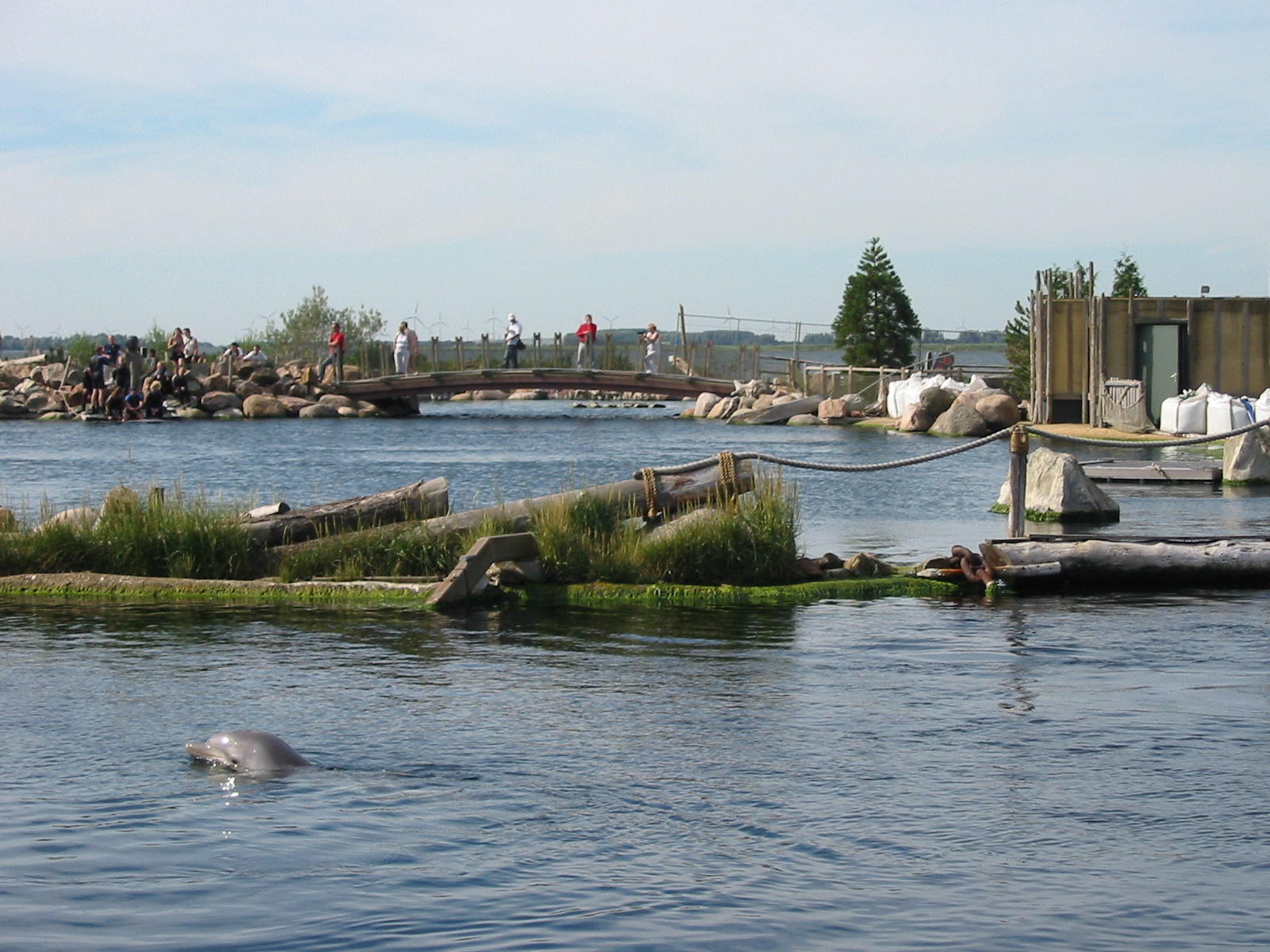Dolfinarium Harderwijk 2004 - Dolphin Lagoon