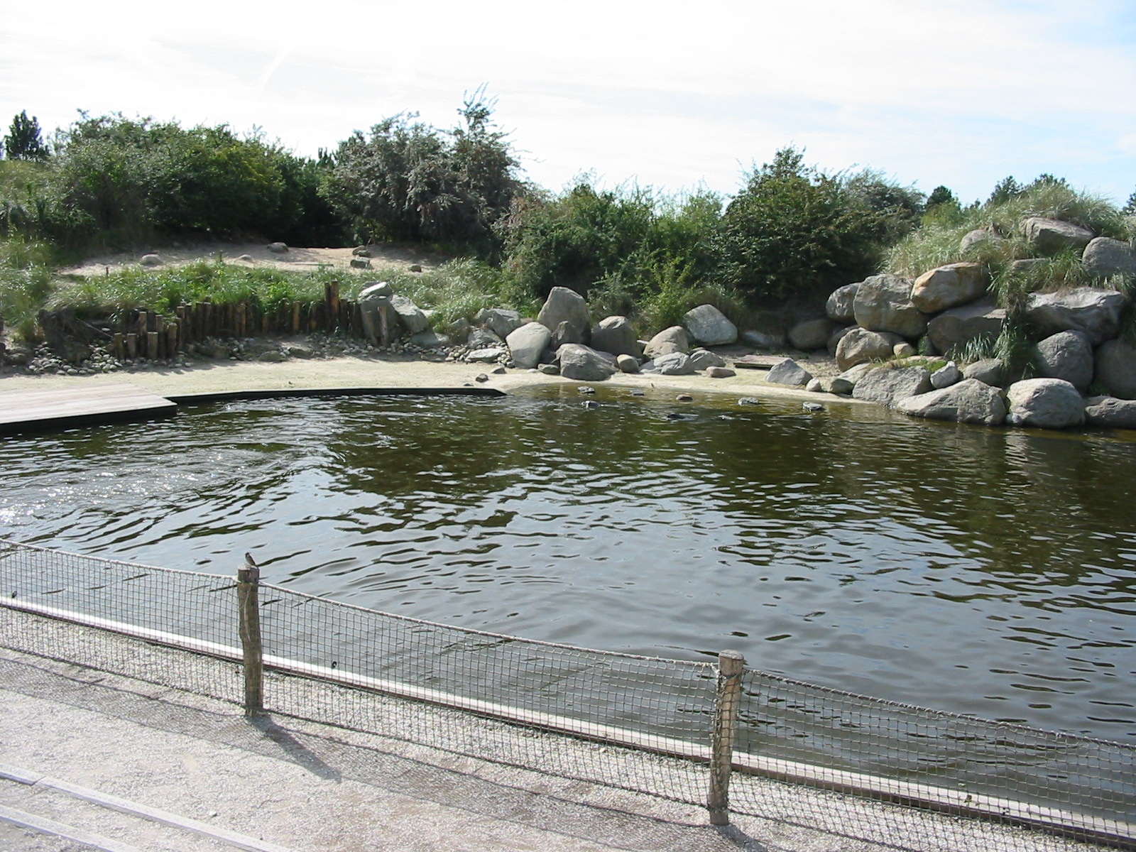 Dolfinarium Harderwijk 2004 - Mixed seal exhibit