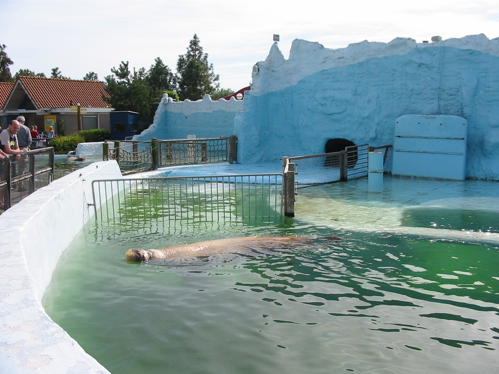 Dolfinarium Harderwijk 2004 - Old walrus exhibit