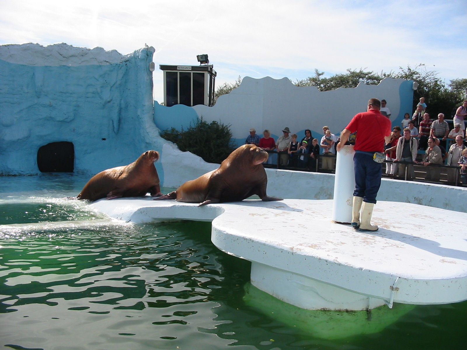 Dolfinarium Harderwijk 2004 - Walrus show in the old exhibit