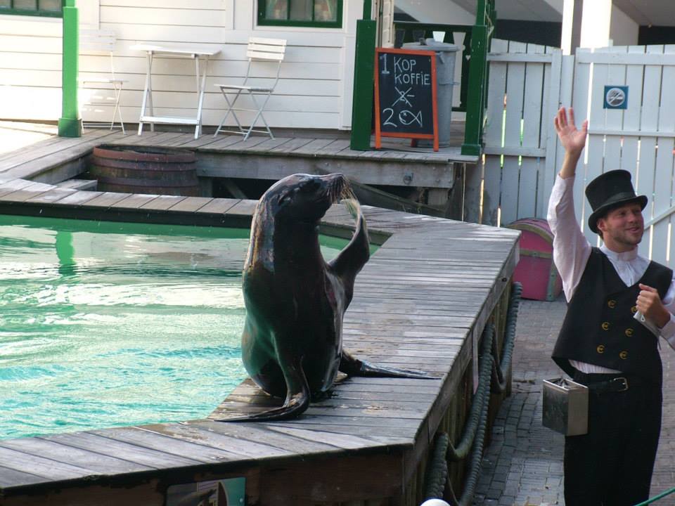 Dolfinarium Harderwijk  8.08.2012