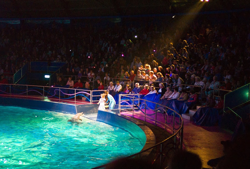 Dolfinarium Harderwijk 8.08.2012