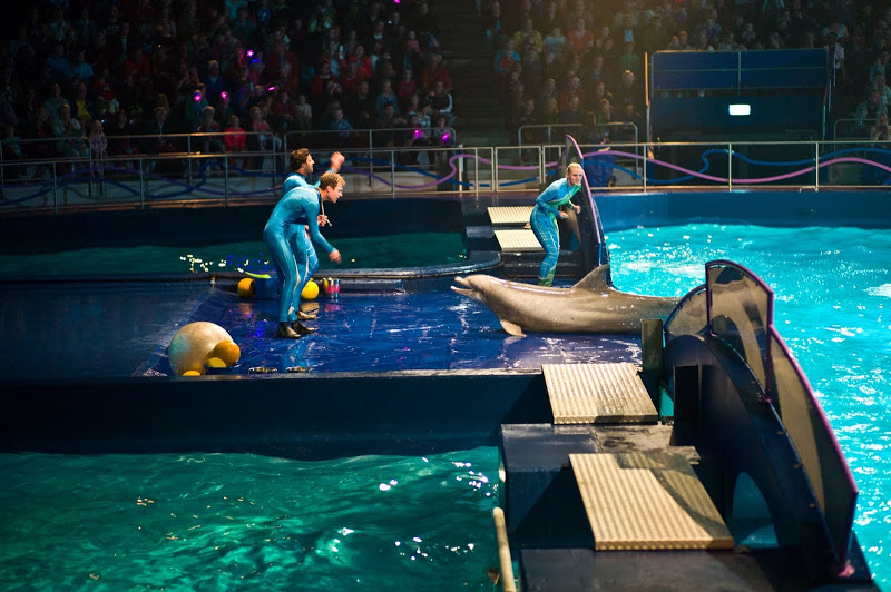 Dolfinarium Harderwijk 8.08.2012