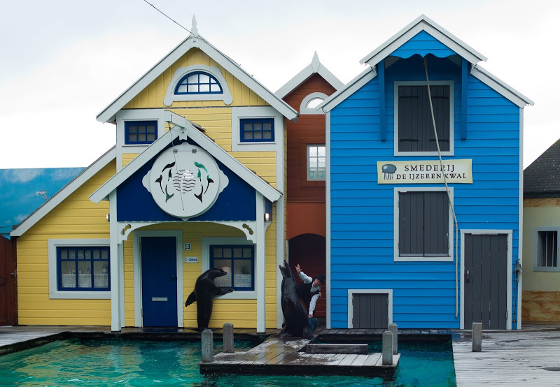 Dolfinarium Harderwijk 8.08.2012