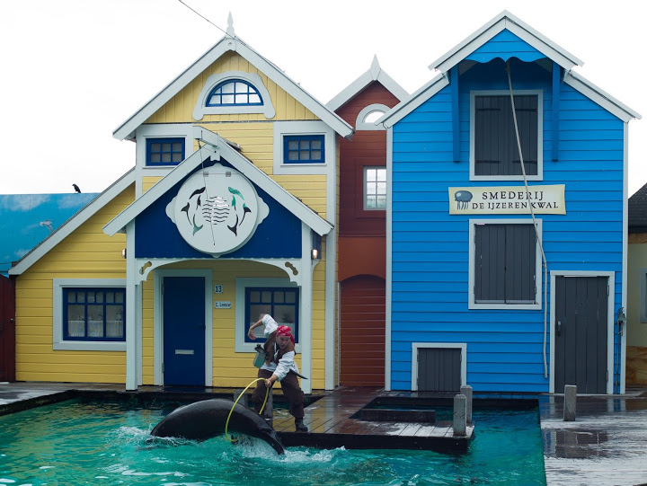 Dolfinarium Harderwijk 8.08.2013
