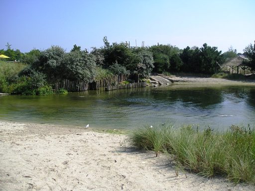 Dolfinarium Harderwijk (NL) Seal