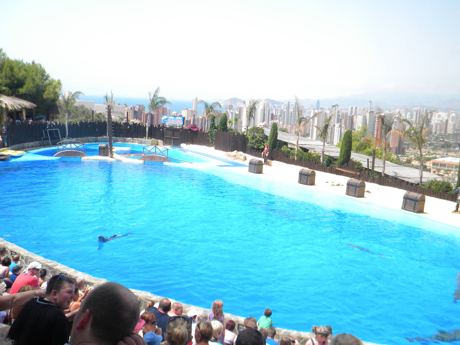 Dolpharium at Mundo Mar 01/08/11