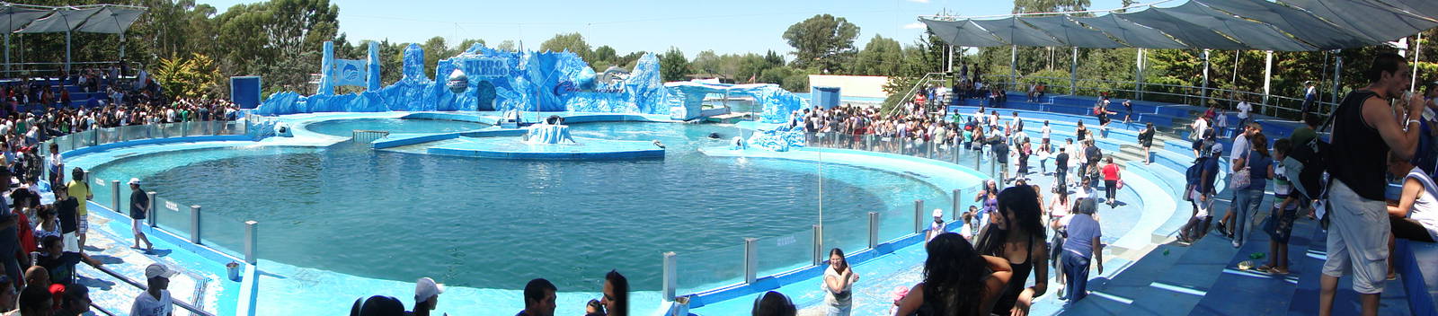 Dolphin And Orca Stadium