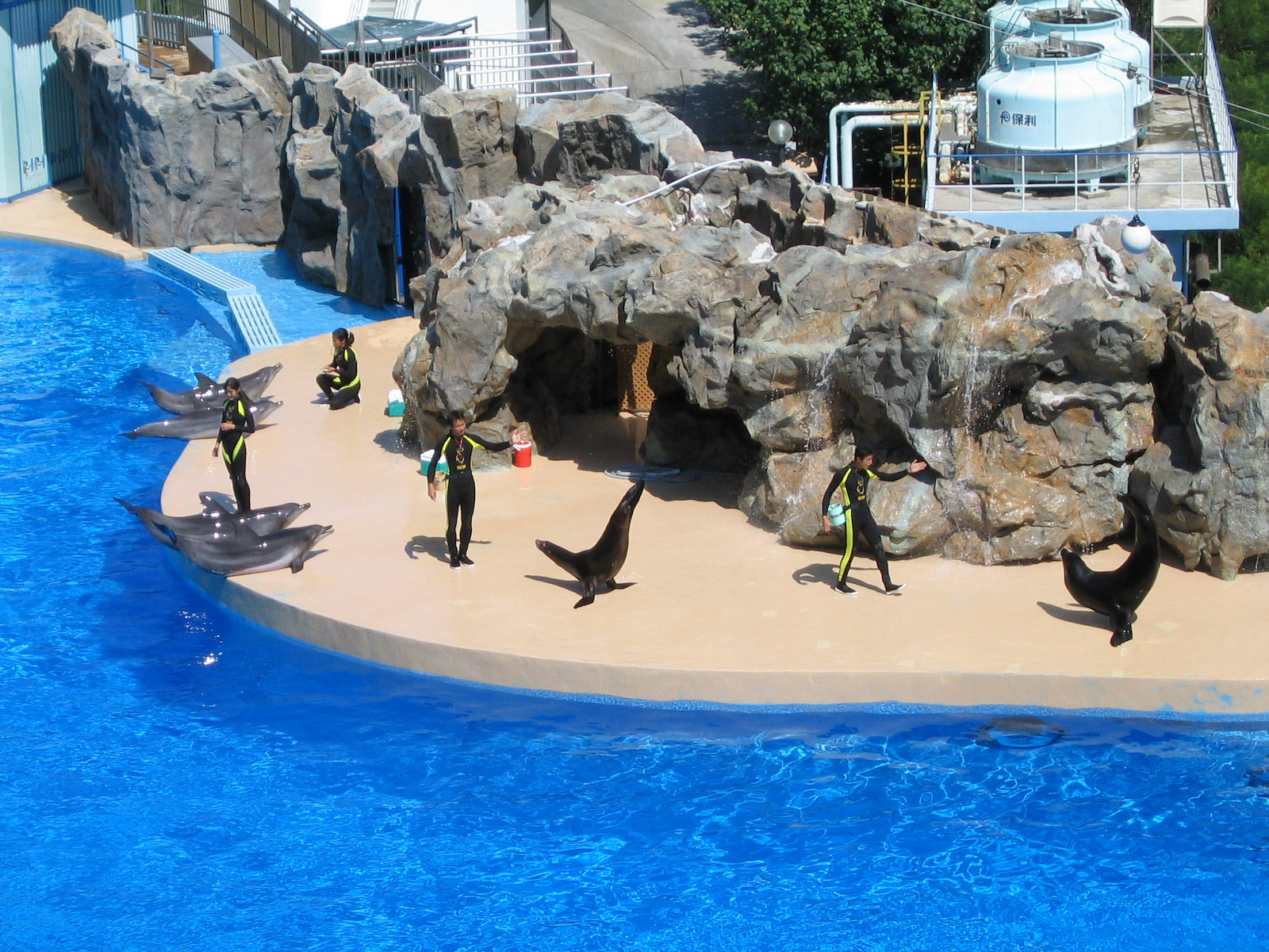 Dolphin and Seal show - Jul 2003