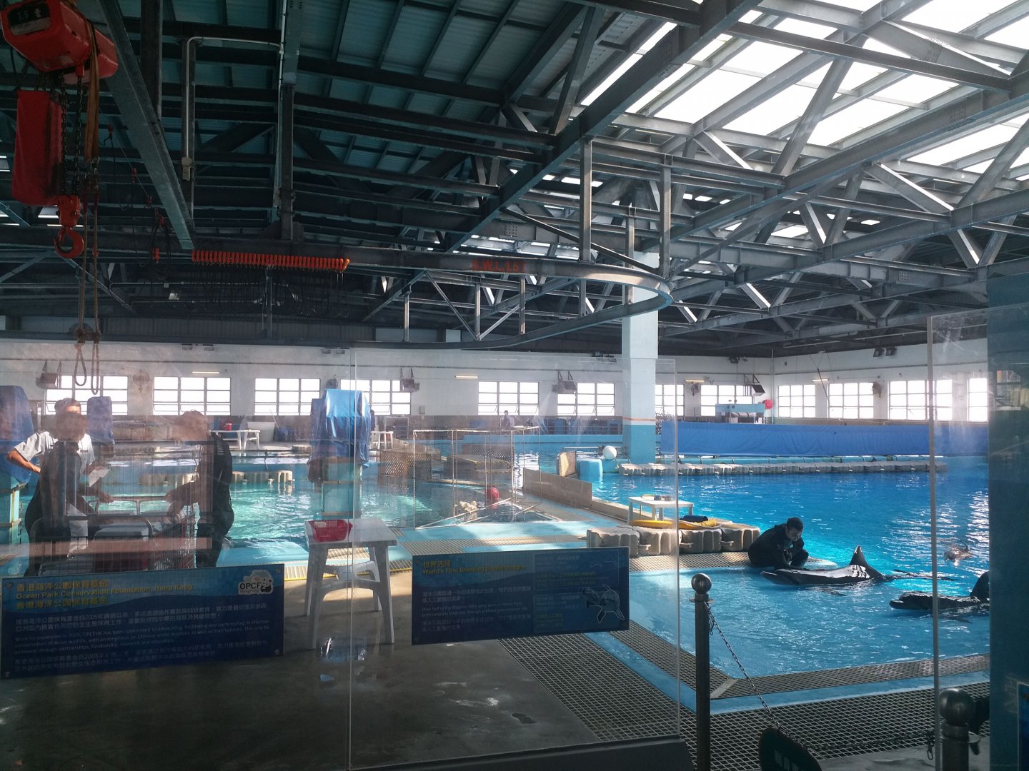 Dolphin breeding facilities