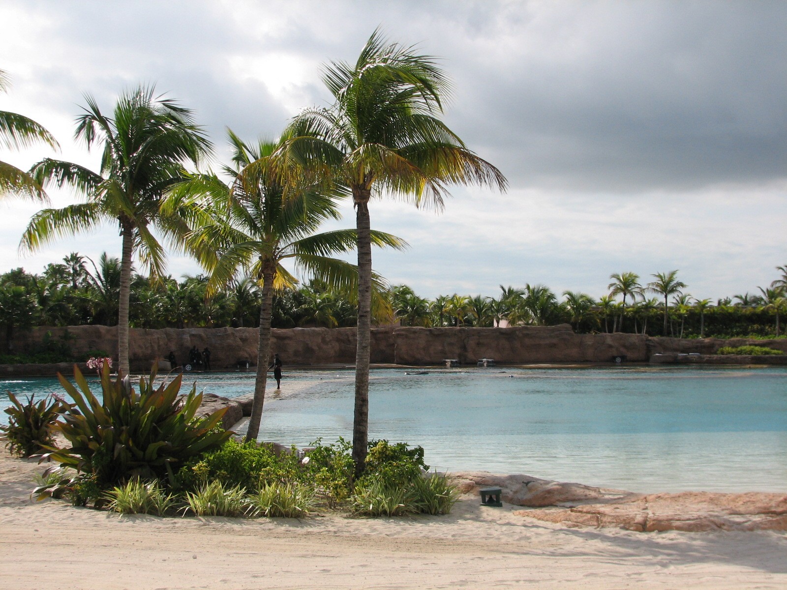 Dolphin Cay - Dolphin Habitats