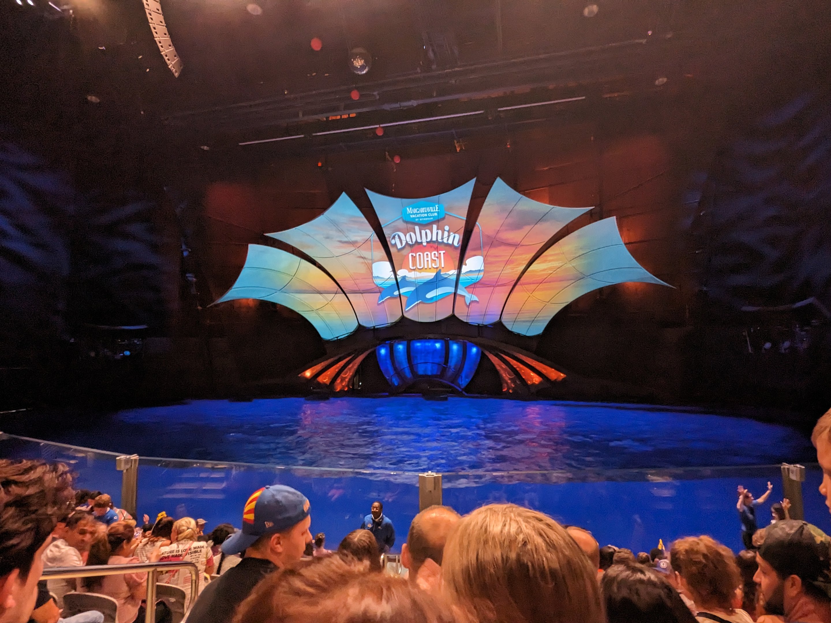 Dolphin Coast - show tank